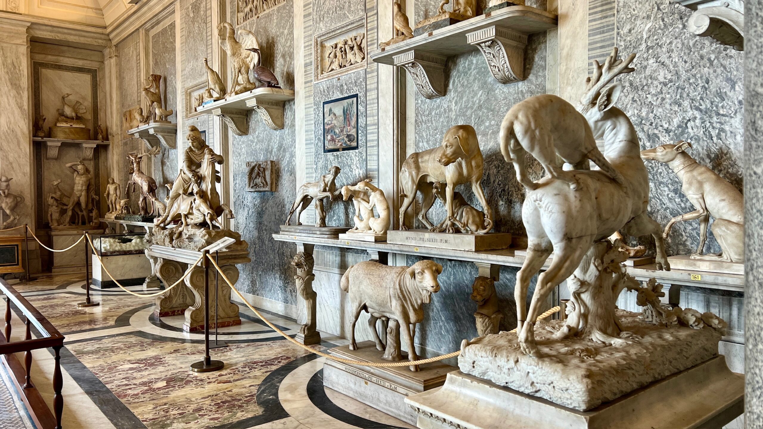 Zbiory i oddziały Muzeów Watykańskich